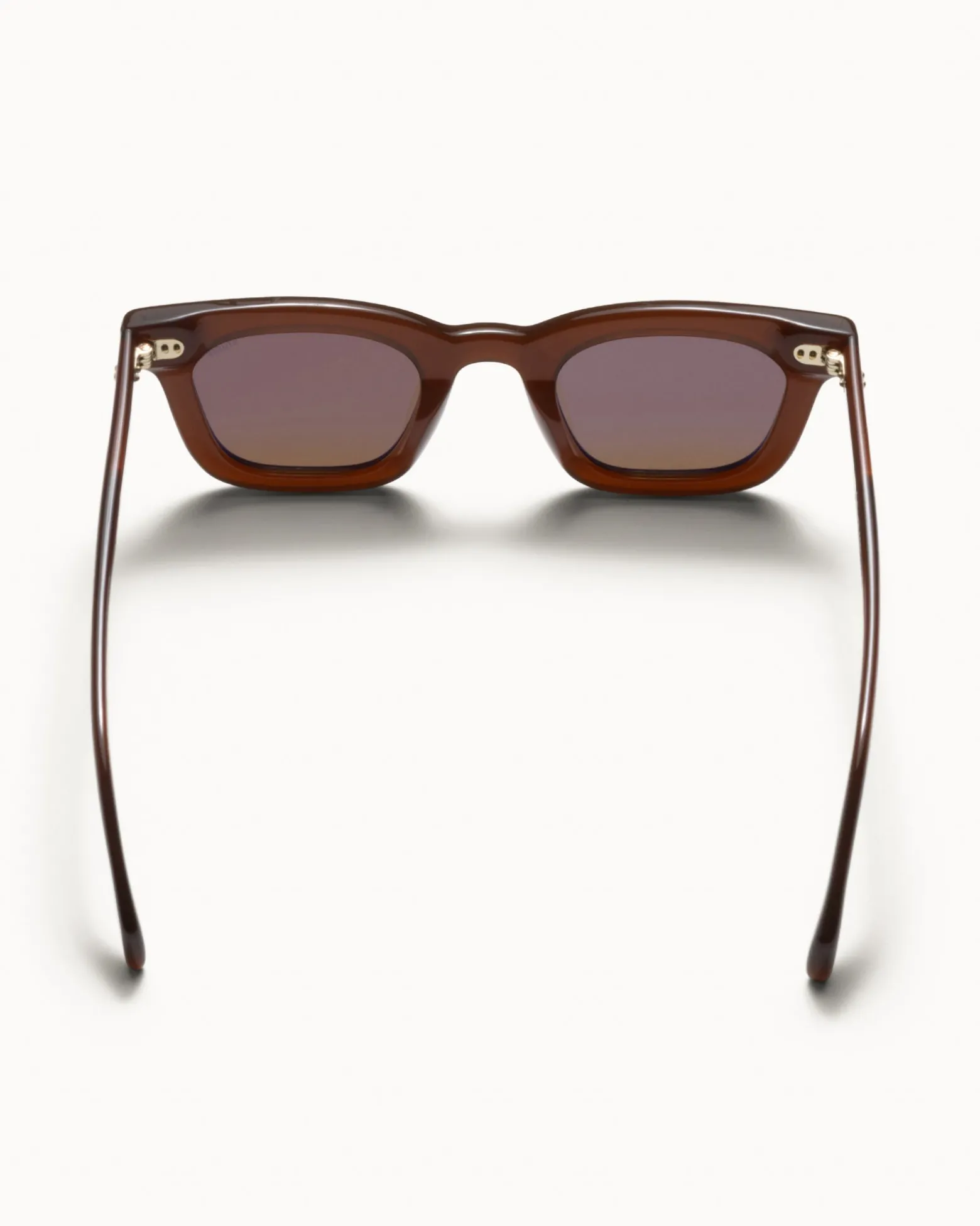 ACE SUNGLASSES